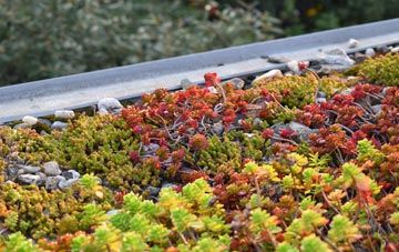 the cost of Ansells End green roof installation